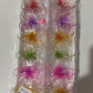 Alternative view of Piranha flor 2