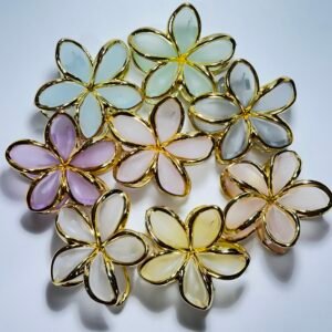 Alternative view of Piranha de flor 1